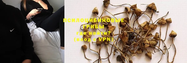 PSILOCYBIN Бугульма