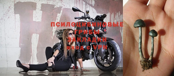 mix Богородск